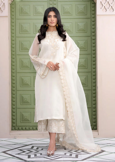 PEARL - Readymade Embroidered Organza Suit - Memsaab Online