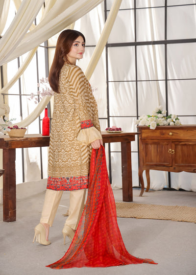 AMT47008C - Readymade Lawn Suit - Memsaab Online