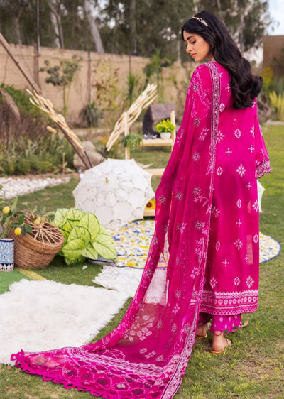 NRH-104 - Readymade - Gardenia Collection by Nureh Collection 2023 - Memsaab Online