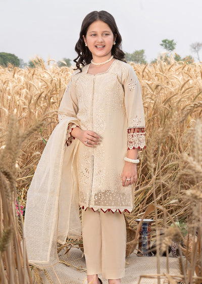 AL-1048 Readymade Kids Suit by Ally's 2025 - Memsaab Online