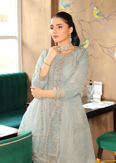 KLD323 Maya - Grey Readymade Organza Suit - Memsaab Online