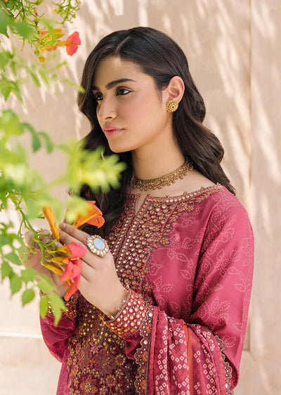 IZKN-12 - Readymade - Bandhani Chiffon Collection by Iznik 2025 - Memsaab Online