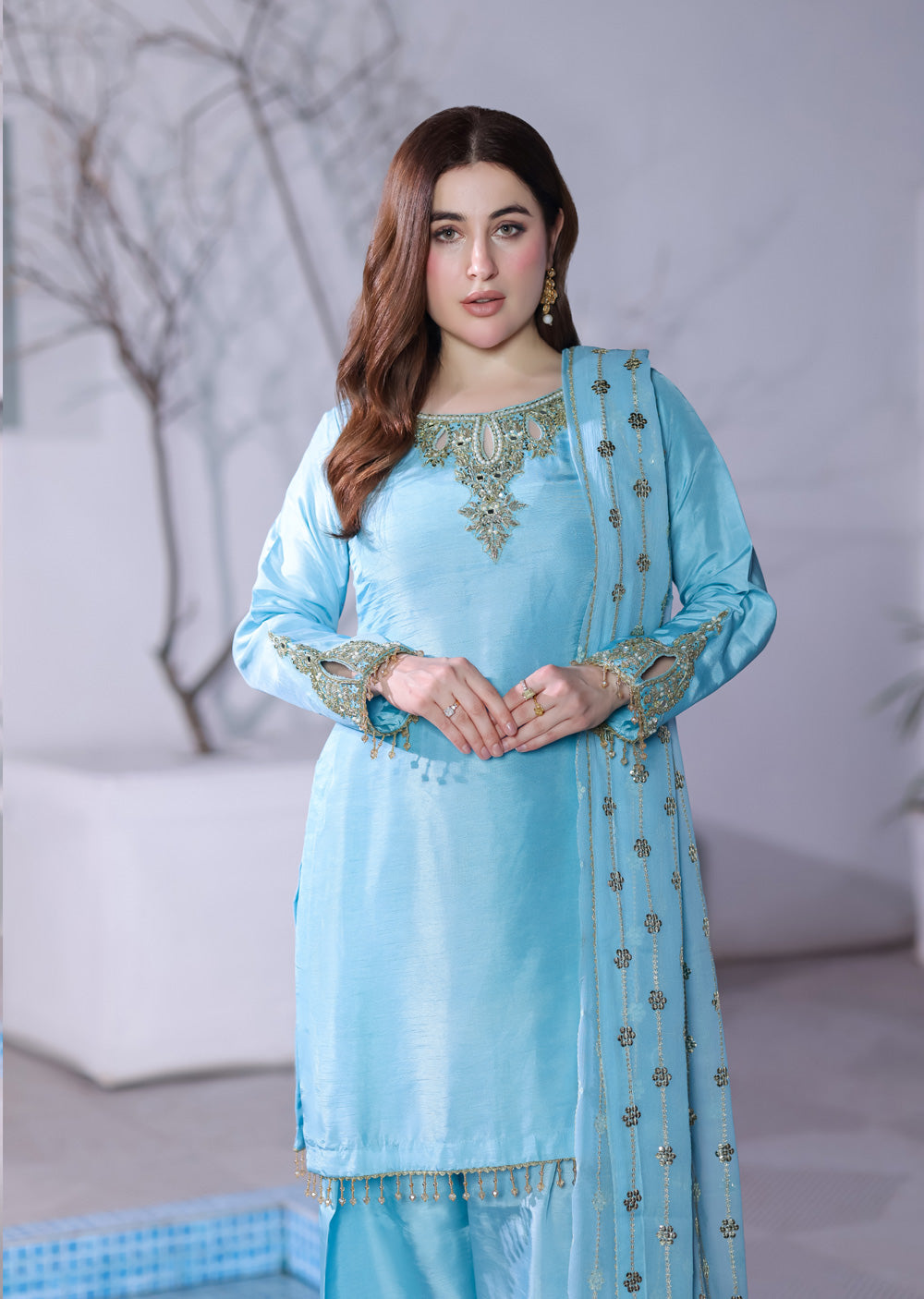 ASB-06 - Readymade Frozi - Silk Luxe Handwork – Memsaab