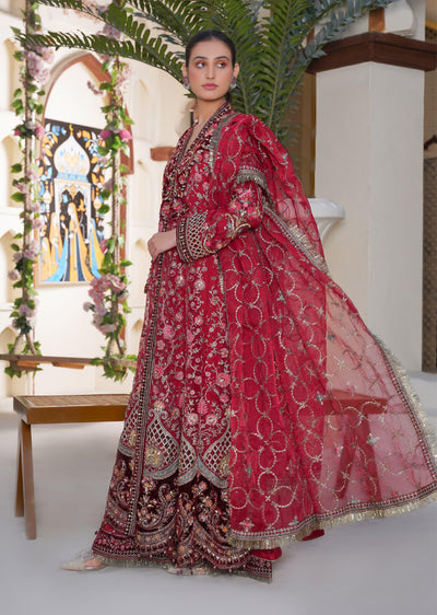 SAJN-06 - Red - Readymade - Sajni Organza Net Collection 2025 - Memsaab Online
