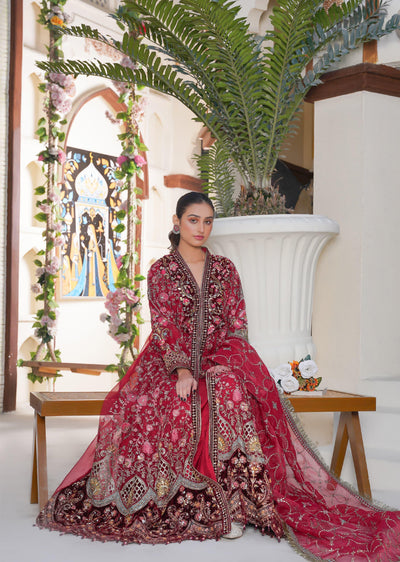 SAJN-06 - Red - Readymade - Sajni Organza Net Collection 2025 - Memsaab Online