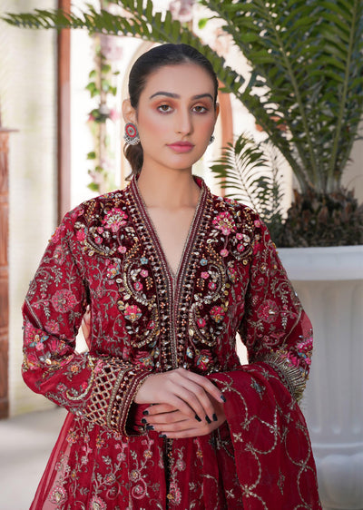 SAJN-06 - Red - Readymade - Sajni Organza Net Collection 2025 - Memsaab Online