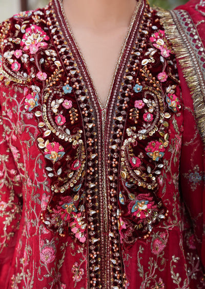 SAJN-06 - Red - Readymade - Sajni Organza Net Collection 2025 - Memsaab Online
