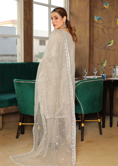 KLD308 Huma - Grey Readymade Organza Suit - Memsaab Online