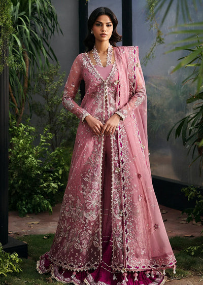 AFES-01-UNSTITCHED Seraira-Lafuchsia '2025 - Memsaab Online