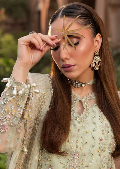 AYN-05 SAGE FORMAL DRESS Readymade Collection by AYLIN 2025 - Memsaab Online