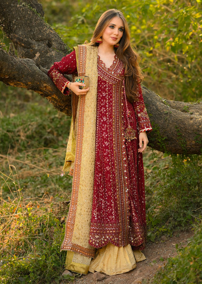 AL-3860 Readymade Maroon Ally's Dress Mummy and Me - Memsaab Online