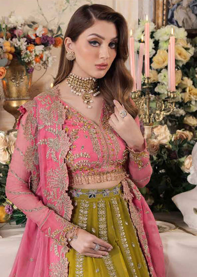 PLC-01 - Taskheer - Readymade- Panache Luxury Chiffon Collection 2024 - Memsaab Online