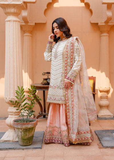 SAJN-01 Readymade - Sajni Organza Net Collection 2025 - Memsaab Online