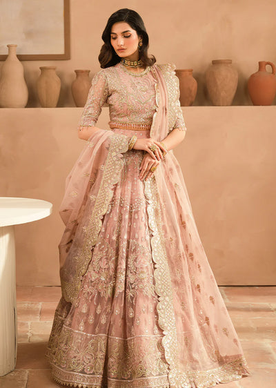 PNCT-01- Readymade - Panache Wedding Formals Collection by Ayzel 2024 - Memsaab Online