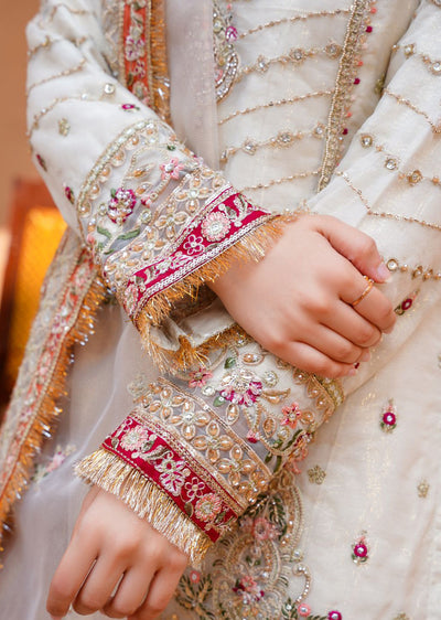 SAJN-01 Readymade - Sajni Organza Net Collection 2025 - Memsaab Online