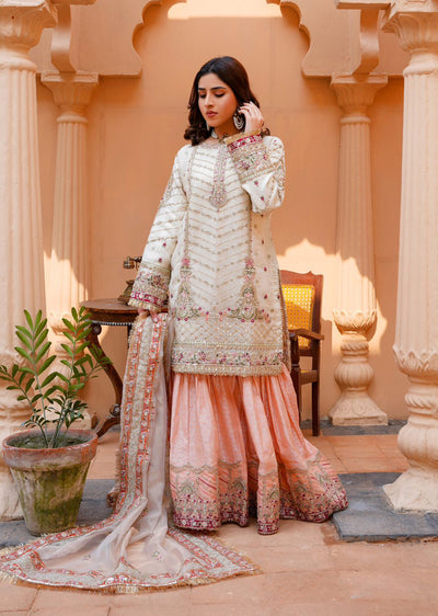 SAJN-01 Readymade - Sajni Organza Net Collection 2025 - Memsaab Online