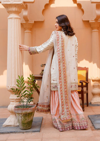 SAJN-01 Readymade - Sajni Organza Net Collection 2025 - Memsaab Online