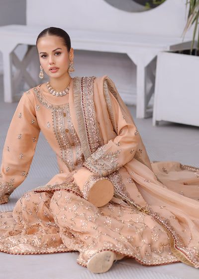 SRB1302 - Natasha - Sehrish.B Designer - Memsaab Online