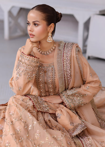 SRB1302 - Natasha - Sehrish.B Designer - Memsaab Online