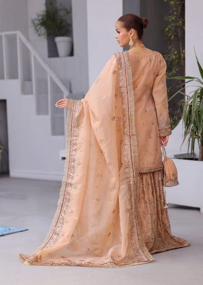 SRB1302 - Natasha - Sehrish.B Designer - Memsaab Online