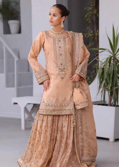 SRB1302 - Natasha - Sehrish.B Designer - Memsaab Online