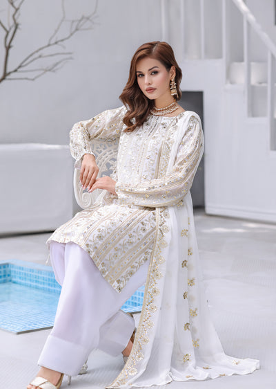 HK328 - Readymade chiffon Outfit 2025 - Memsaab Online