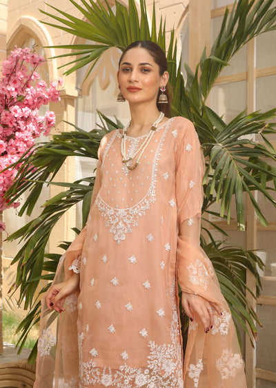 KLD205 Light Sky - Peach Readymade Organza Suit - Memsaab Online