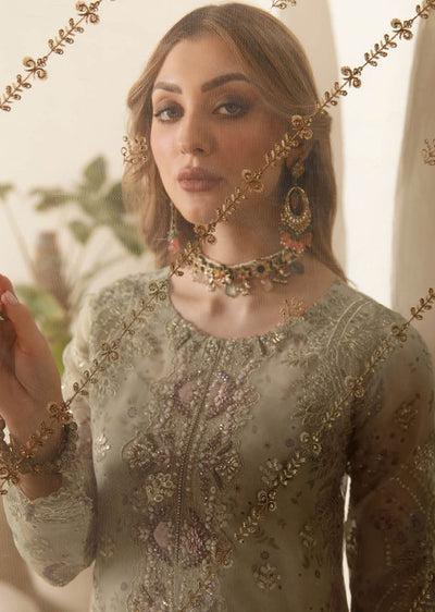 DT-102-R - Readymade - Ramsha Festive Collection Vol 01 2024 - Memsaab Online