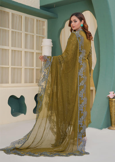 SAJN-02 Readymade - Sajni Organza Net Collection 2025 - Memsaab Online