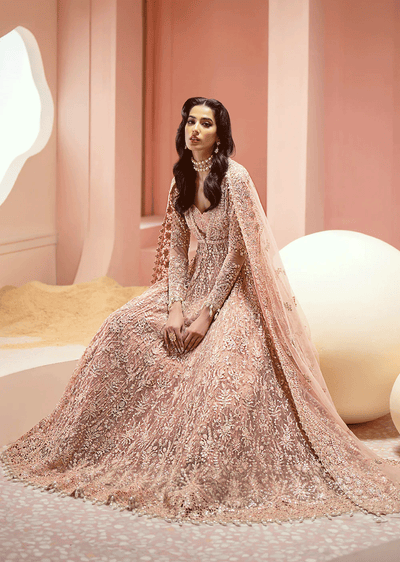 AFZR-02 - Earl - Readymade - Luminara Wedding Collection by Afrozeh 2024 - Memsaab Online