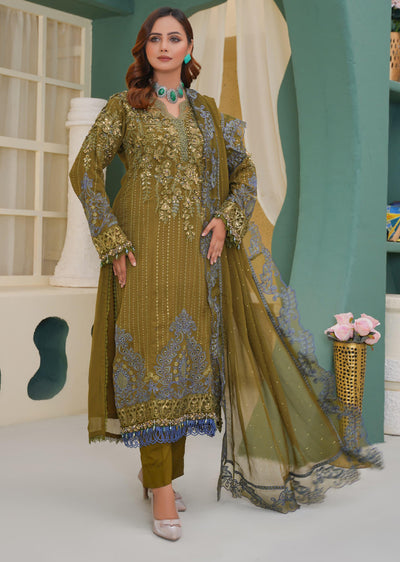 SAJN-02 Readymade - Sajni Organza Net Collection 2025 - Memsaab Online