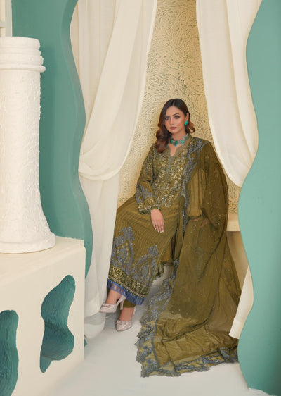 SAJN-02 Readymade - Sajni Organza Net Collection 2025 - Memsaab Online