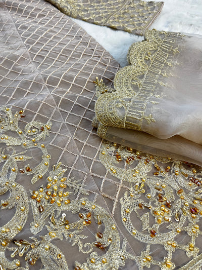 SN12 - Readymade - Nude Organza Outfit 2025 - Memsaab Online