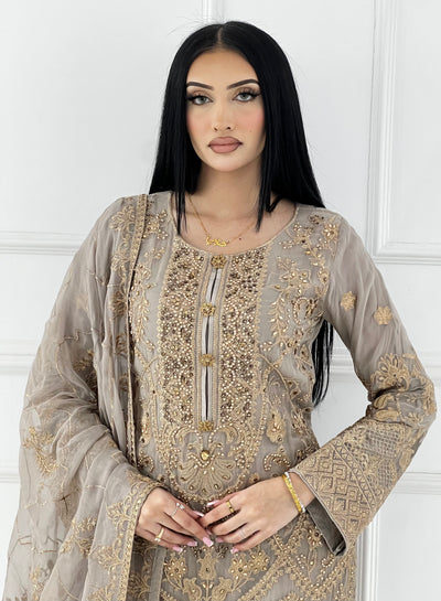PS0828 Readymade Chiffon Suit - Memsaab Online
