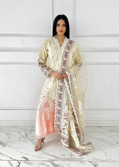 ALYZ-10 - Readymade Partywear Organza Outfit - Memsaab Online