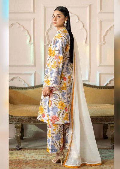 AA-03 - Readymade - Harmony Collection by Raniya.H 2024 - Memsaab Online