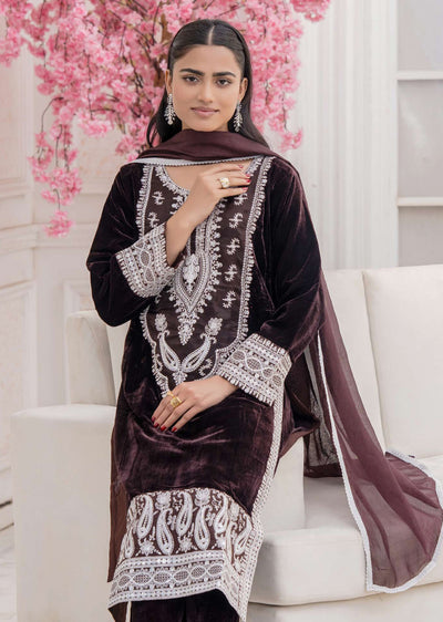 RGZ7110 Readymade - Luxury winter Velvet Suit 2025 - Memsaab Online