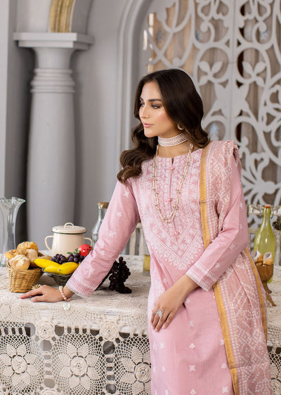 MDM-75 - Readymade - Embroidered Cotton Suit - Memsaab Online