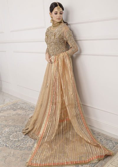 SRB1203 - Shama - Nude Sehrish.B Designer - Memsaab Online