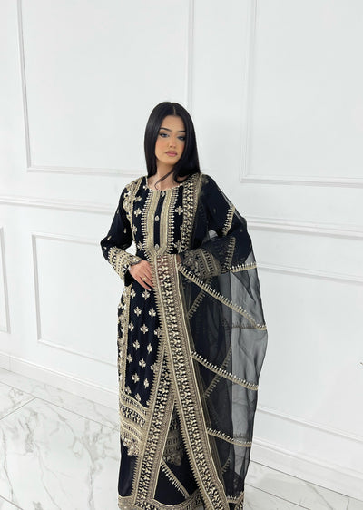 SAJN-03 Readymade - Sajni Organza Net Collection 2025 - Memsaab Online