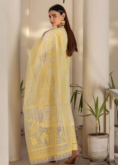 HSS-123 - Readymade Heeras Suit - Memsaab Online