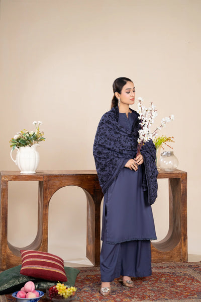 Samra-05-Readymade- Rania.H Dhanak Collection 2025 - Memsaab Online