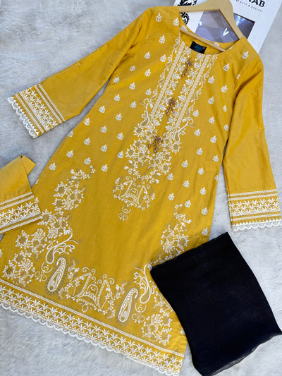 MYSTERY HEERAS SUIT - Memsaab Online