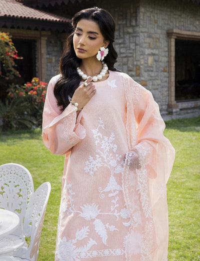 HSS-269 - Readymade Heeras Suit - Memsaab Online
