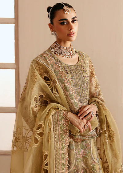 E-205 - Unstitched - Ramsha Festive Formals Volume 2 2024 - Memsaab Online