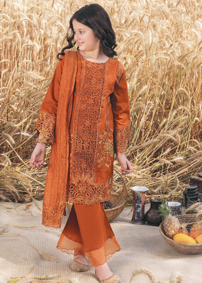 AL-1043 Readymade Kids Suit by Ally's 2025 - Memsaab Online