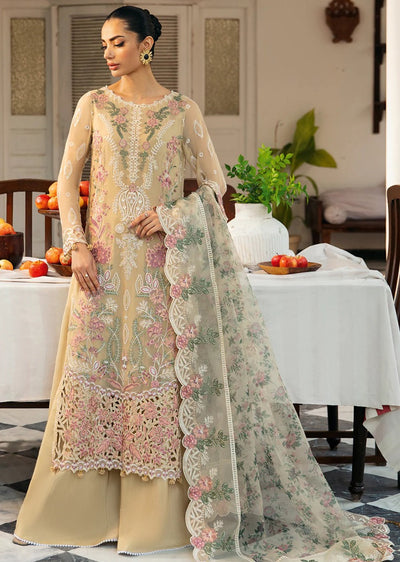 DQ-105 - R - Readymade - Dastak Collection Luxury Chiffon Collection - Memsaab Online