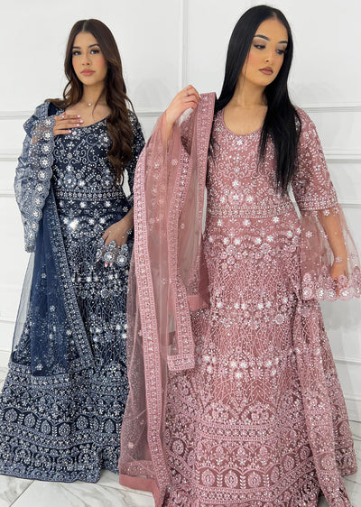 RH2114 Rida - Pink Fancy Net Maxi Dress - Memsaab Online