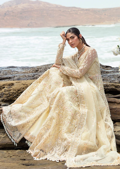 AVCR-06 - Aroohi - Unstitched - Dastangoi Collection by Afrozeh 2024 - Memsaab Online