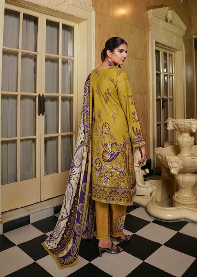 MS-TR-07 - Readymade - Munira Khubsurat Dhanak Collection 2024 - Memsaab Online